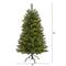 4ft. Pre-Lit West Virginia Mountain Pine Artificial Christmas Tree, Clear LED Lights